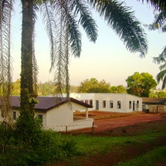 « L’arbre qui s’éveille »